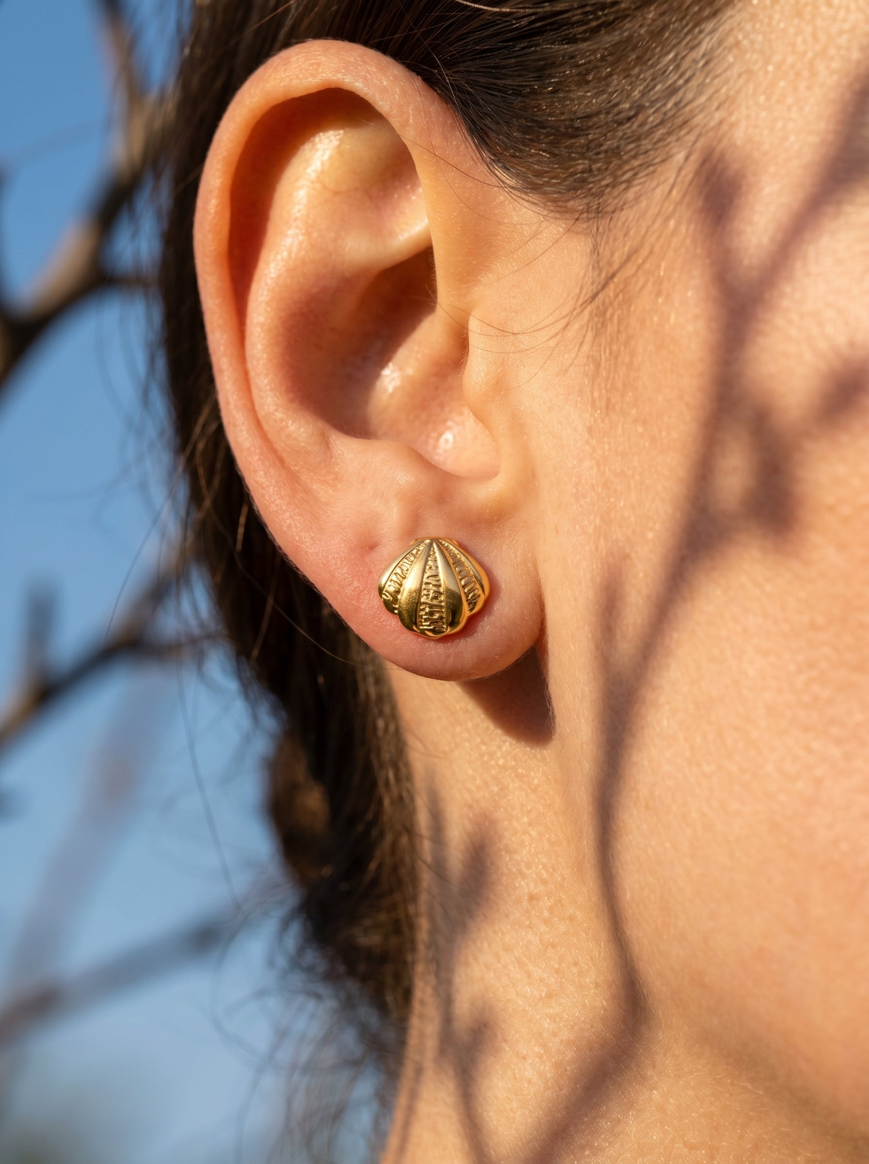 Sculpted Shell Studs