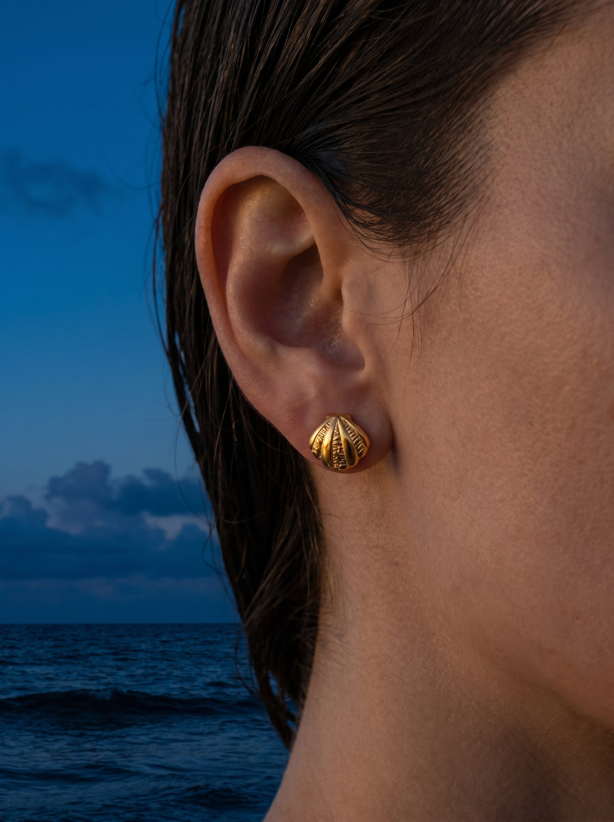 Sculpted Shell Studs
