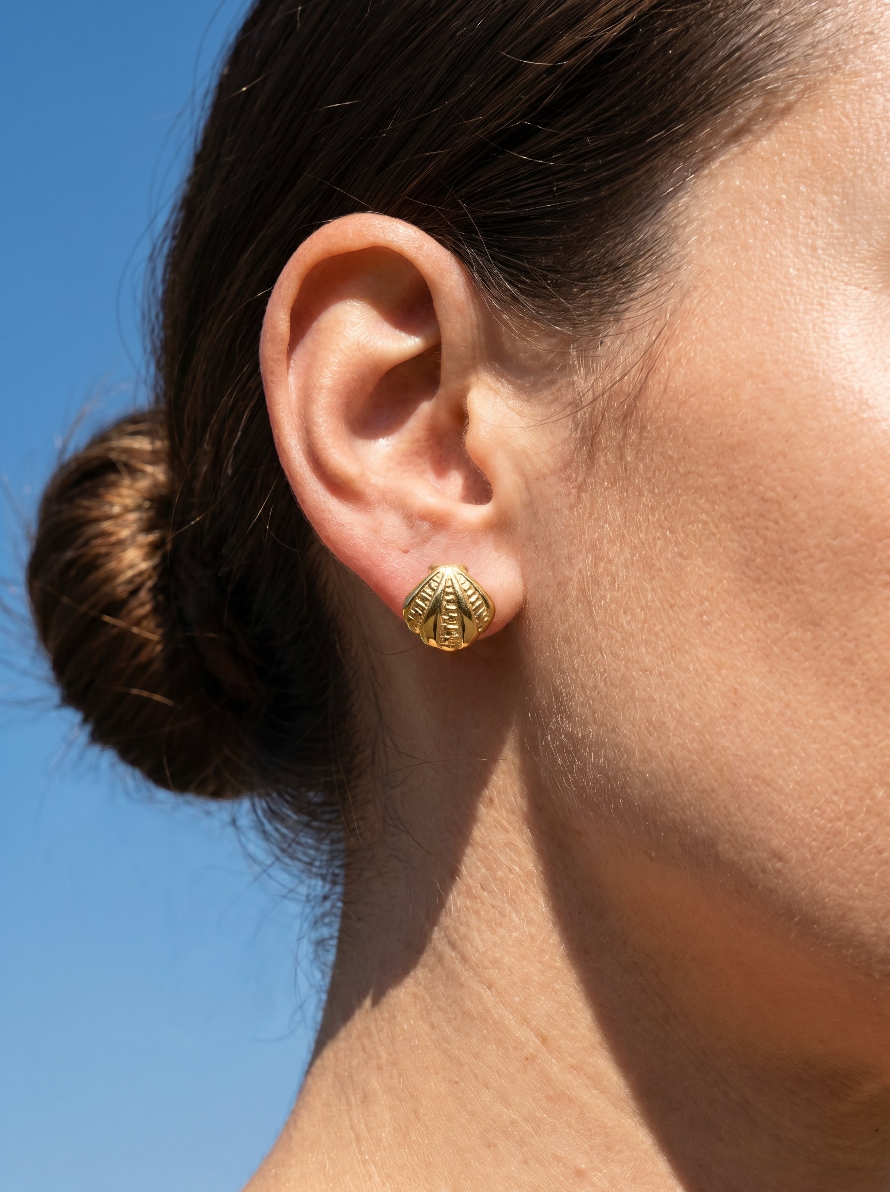 Sculpted Shell Studs