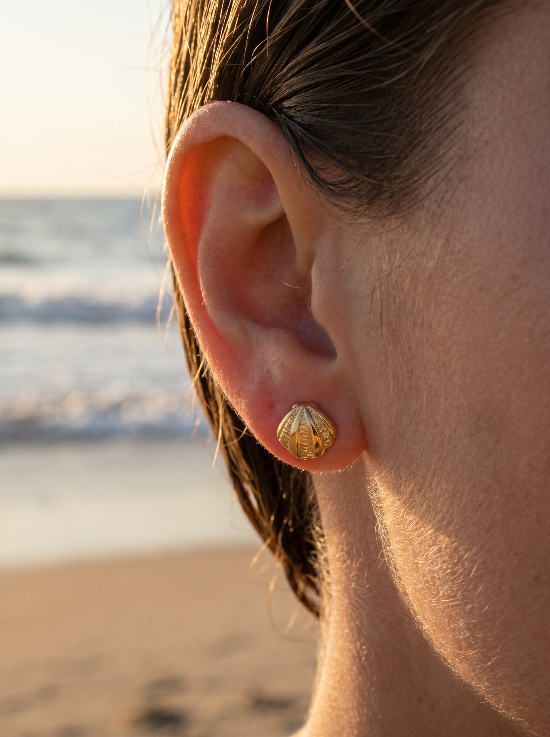 Sculpted Shell Studs