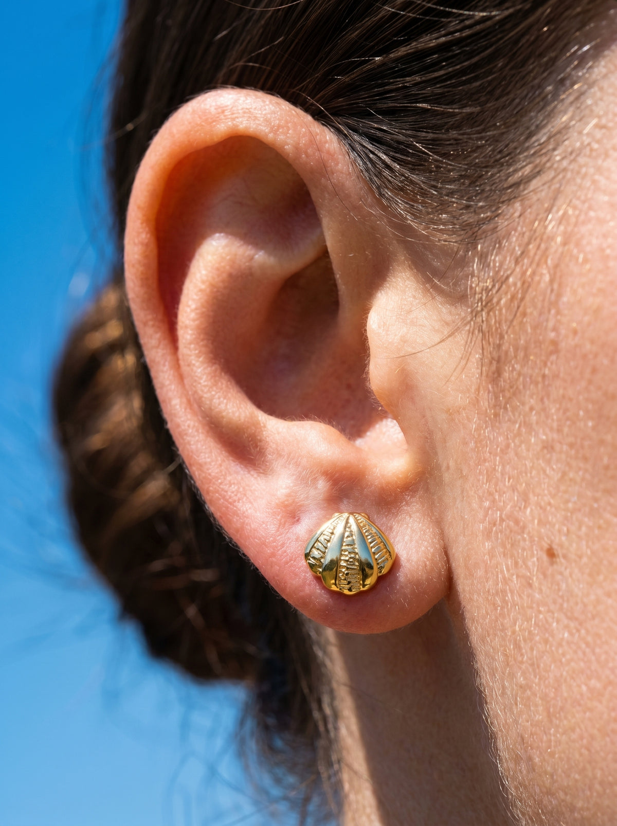 Sculpted Shell Studs